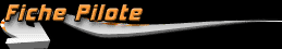 fiche_pilote